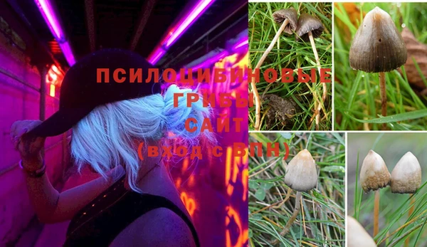 мяу мяу мука Арсеньев