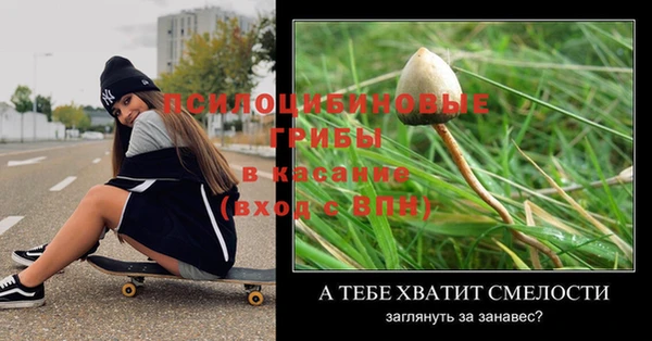 ПСИЛОЦИБИНОВЫЕ ГРИБЫ Армянск
