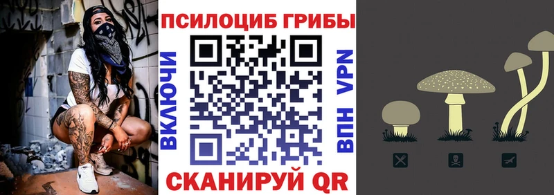 Псилоцибиновые грибы Magic Shrooms  Сланцы 